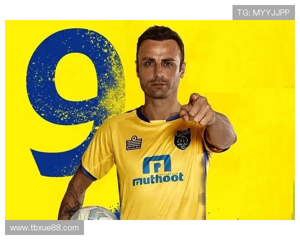 印度尼亚篮球联赛排名（印度尼亚篮球联赛排名表）sports